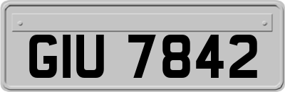 GIU7842