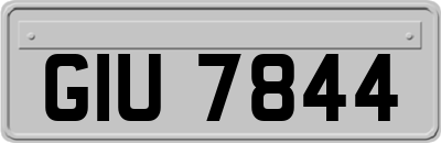 GIU7844
