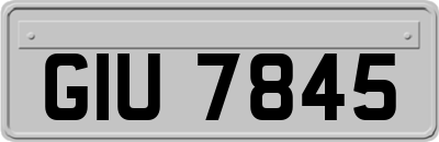 GIU7845