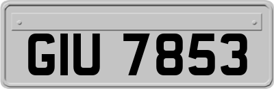GIU7853
