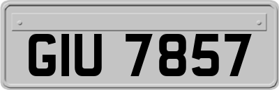 GIU7857