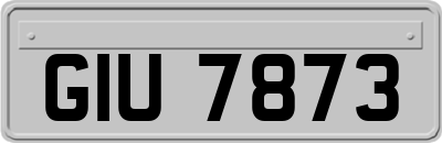 GIU7873