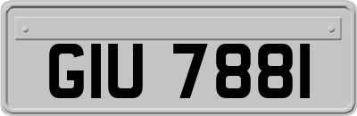 GIU7881
