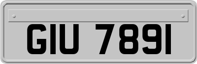GIU7891