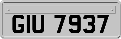 GIU7937