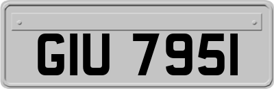 GIU7951