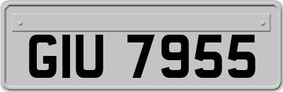 GIU7955