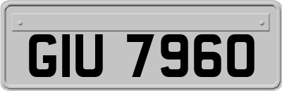 GIU7960