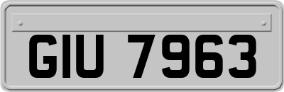 GIU7963