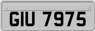 GIU7975