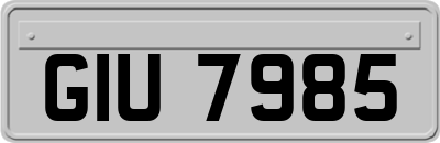 GIU7985