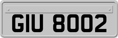 GIU8002