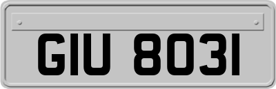 GIU8031