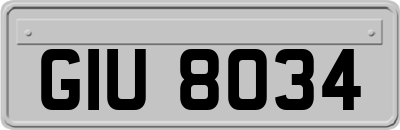 GIU8034