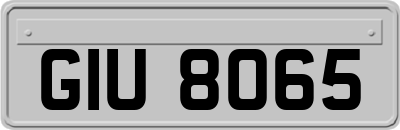 GIU8065
