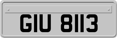 GIU8113