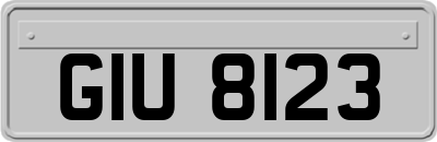 GIU8123