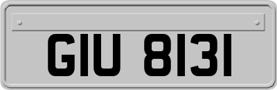 GIU8131