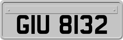 GIU8132