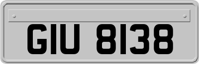 GIU8138