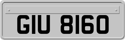 GIU8160