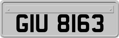 GIU8163