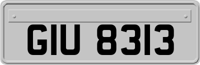 GIU8313