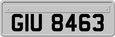 GIU8463