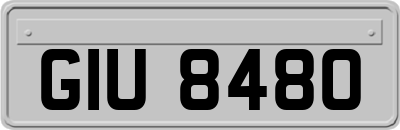 GIU8480
