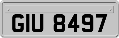 GIU8497