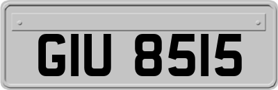 GIU8515