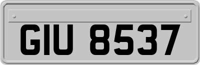GIU8537