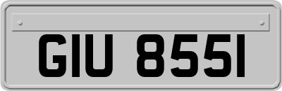 GIU8551