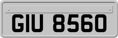 GIU8560