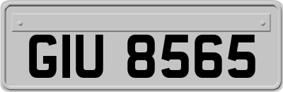 GIU8565