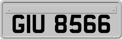 GIU8566