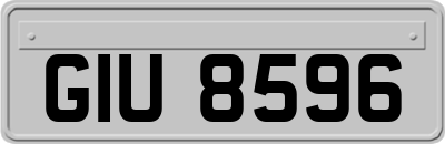 GIU8596