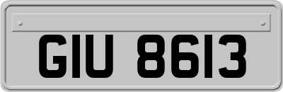 GIU8613