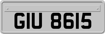 GIU8615