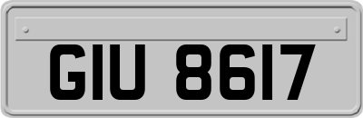 GIU8617
