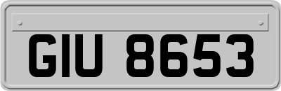 GIU8653