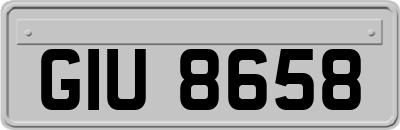GIU8658