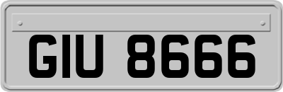 GIU8666