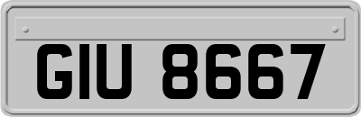 GIU8667