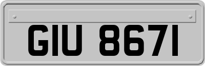 GIU8671