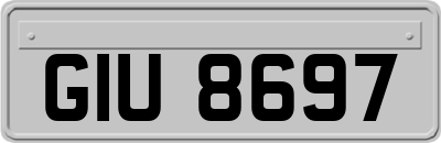 GIU8697