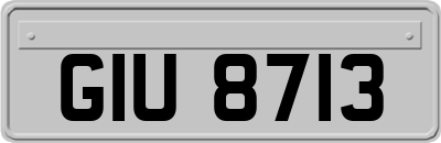GIU8713