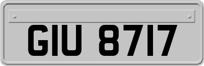GIU8717