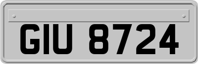 GIU8724