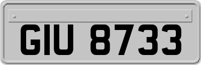 GIU8733